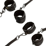 CALEXOTICS - BOUNDLESS ROTE ZURÜCKHALTUNG - Vanelion Paradise