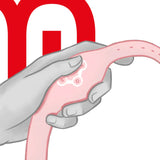 WATCHME - WIRELESS-TECHNOLOGIE-UHR ZARTES ROSA - Vanelion Paradise