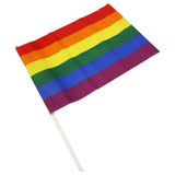 PRIDE - LGBT-FLAGGE MITTELGROSSES WIMPEL - Vanelion Paradise