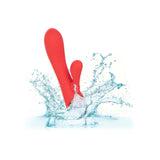 CALEXOTICS - PALISADES PASSION ROT - Vanelion Paradise