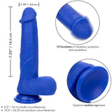 CALEXOTICS - ADMIRAL KAPITN REALISTISCHER DILDO-VIBRATOR BLAU - Vanelion Paradise