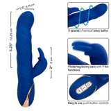 CALEXOTICS - JACK RABBIT VIBRATOR WELLENBEWEGUNG BLAU - Vanelion Paradise