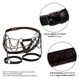 CALEXOTICS - EUPHORIA MULTICHAIN OBERSCHENKELHARNESS PREMIUM - Vanelion Paradise