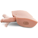 PDX MALE - MÄNNLICHER INTERAKTIVER FICK IHN ALUM - Vanelion Paradise