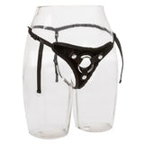 CALEXOTICS - IHR KÖNIGLICHES GESCHIRR DER PRINZESSIN IN EINER GRÖSSE - Vanelion Paradise