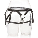 CALEXOTICS - IHR KÖNIGLICHES GESCHIRR. DIE DUTCHESS. EINE GRÖSSE - Vanelion Paradise