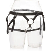 CALEXOTICS - IHR KÖNIGLICHES GESCHIRR. DIE DUTCHESS. EINE GRÖSSE - Vanelion Paradise