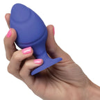 CALEXOTICS - CHEEKY BUTTPLUG LILA - Vanelion Paradise