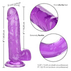 CALEXOTICS - GRÖSSE KÖNIGIN-DILDO LILA 15.3 CM - Vanelion Paradise