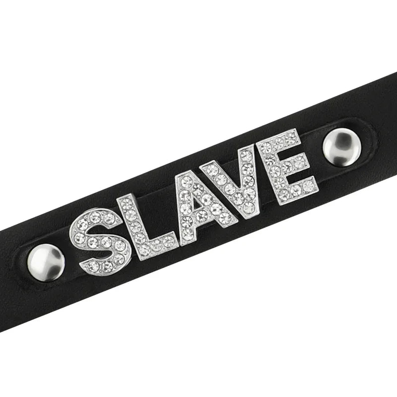 COQUETTE CHIC DESIRE - SKLAVEN-HALSBAND AUS VEGANEM LEDER - Vanelion Paradise