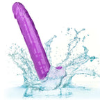 CALEXOTICS - GRÖSSE KÖNIGIN-DILDO LILA 25.5 CM - Vanelion Paradise
