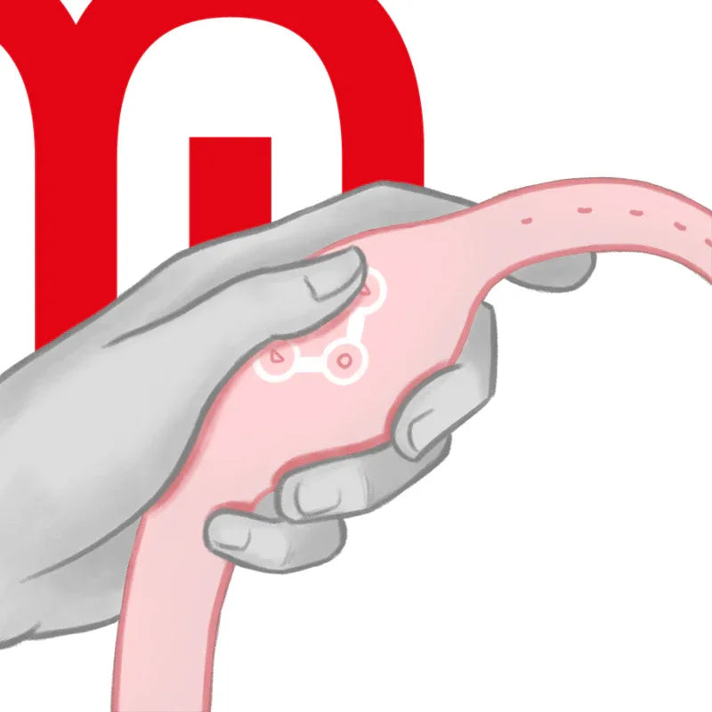 WATCHME - WIRELESS-TECHNOLOGIE-UHR ZARTES ROSA - Vanelion Paradise