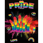 PRIDE - LGBT FLAG PLUG FUN STUFER 8,5 CM - Vanelion Paradise