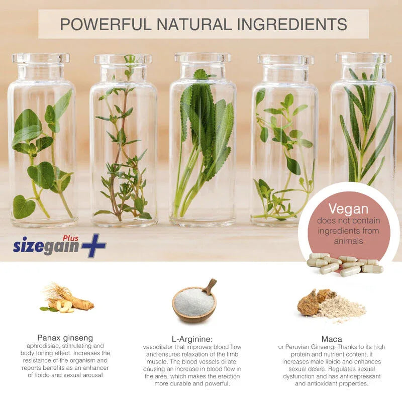 500 COSMETICS - SIZEGAIN PLUS Pillen zur Penisvergrößerung für effektive Ergebnisse - Vanelion Paradise