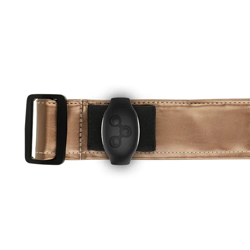 MYTHOLOGY -FANTASY-GESCHIRR - BRONZEGESCHIRR L/XL - Vanelion Paradise