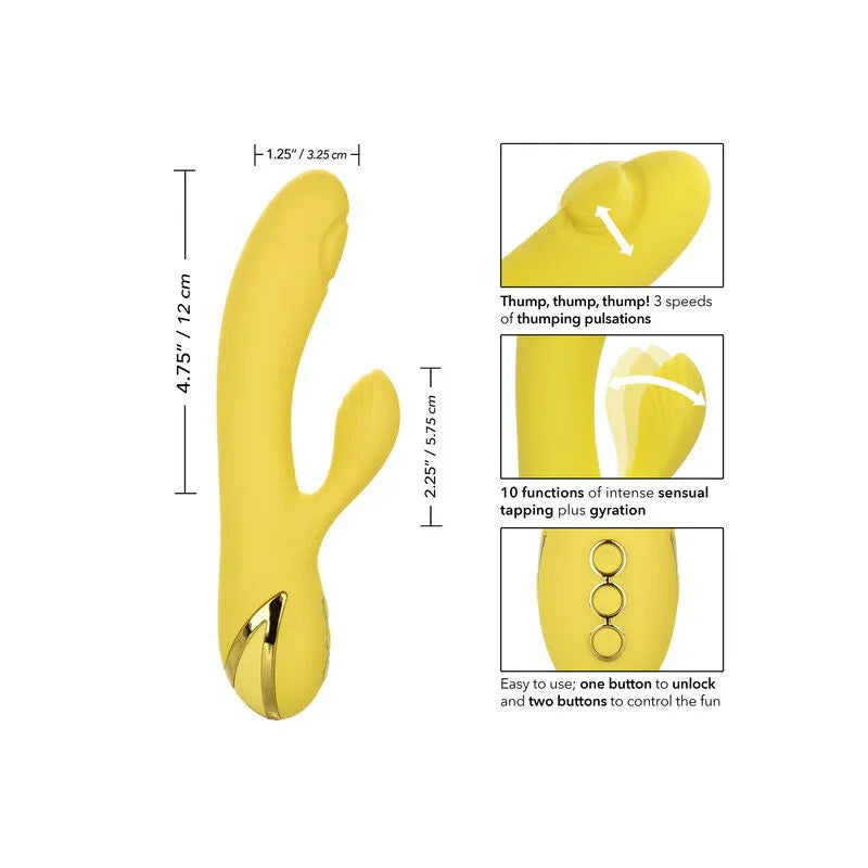 CALEXOTICS - SAN DIEGO VERFÜHRUNG - Vanelion Paradise