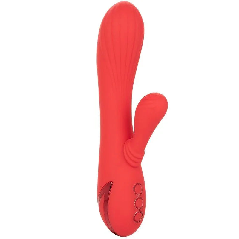 CALEXOTICS - PALISADES PASSION ROT - Vanelion Paradise