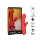 CALEXOTICS - PALISADES PASSION ROT - Vanelion Paradise