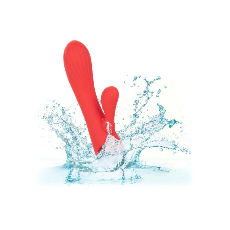 CALEXOTICS - PALISADES PASSION ROT - Vanelion Paradise