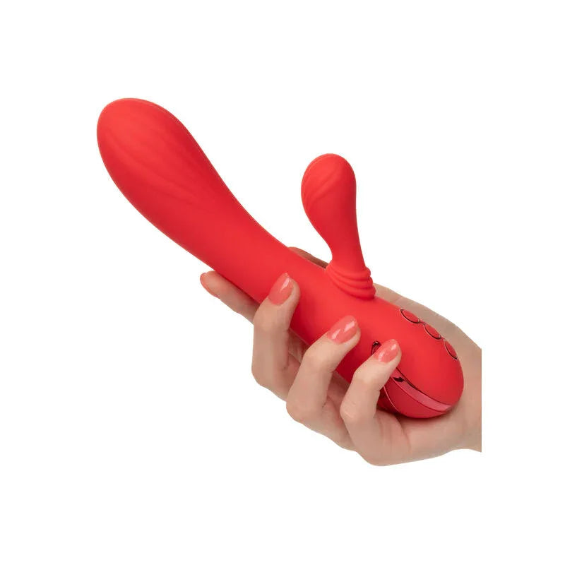 CALEXOTICS - PALISADES PASSION ROT - Vanelion Paradise