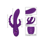 CALEXOTICS - LONG BEACH BOOTYLICIOUS LILA - Vanelion Paradise
