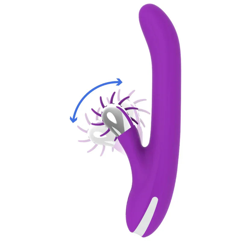 FUN FUNCTION - BUNNY FUNNY ROTATION 2.0 - Vanelion Paradise