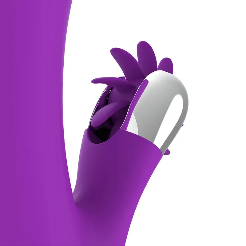 FUN FUNCTION - BUNNY FUNNY VIBRATION 2.0 - Vanelion Paradise