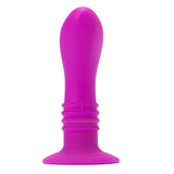 PRETTY LOVE - BOOTY PASSION VIBRATOR PLUG 10V - Vanelion Paradise