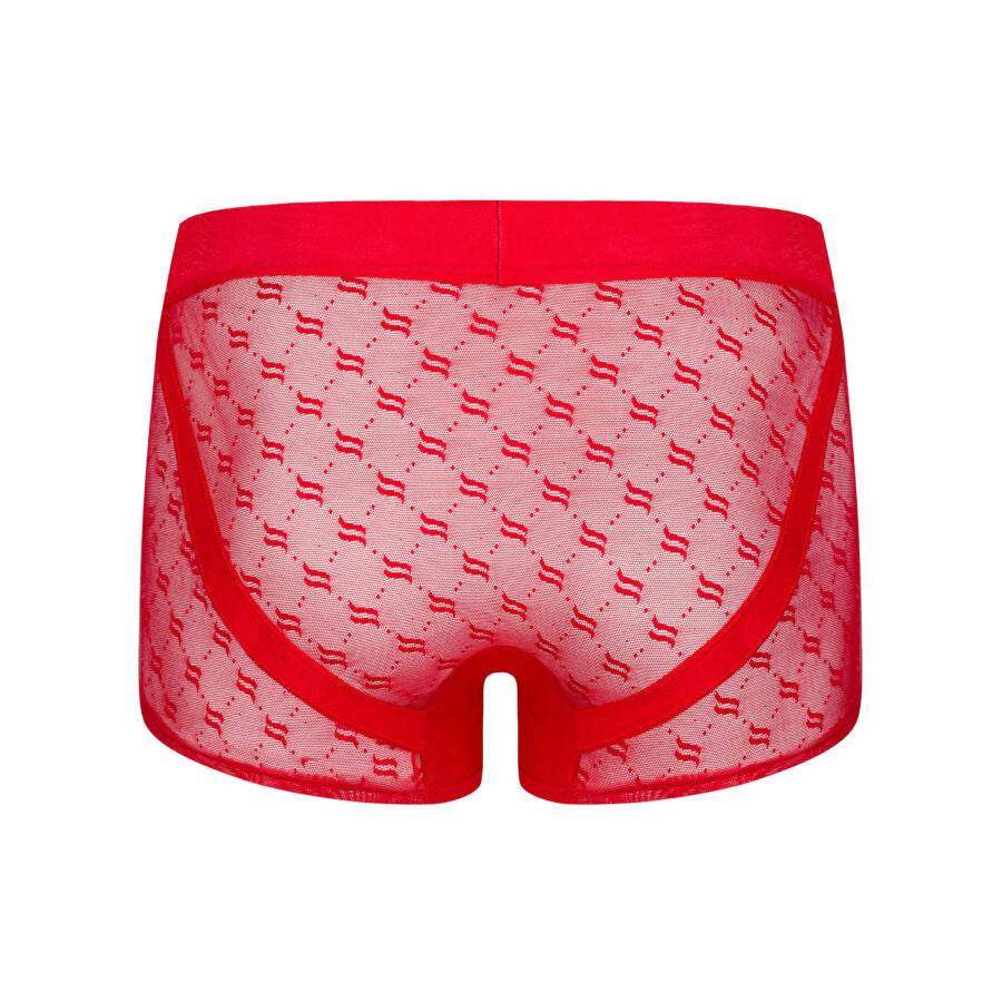 OBSESSIVE - OBSESSIVER BOXERSHORTS S/M - Vanelion Paradise