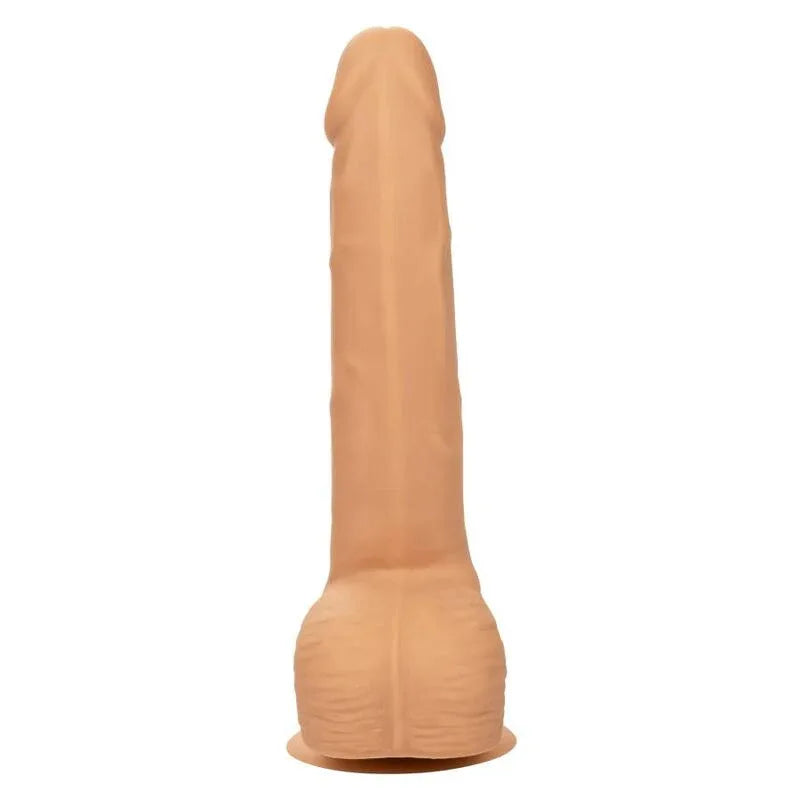 CALEXOTICS - SILIKON-NIETEN 20.32 CM HAUT - Vanelion Paradise