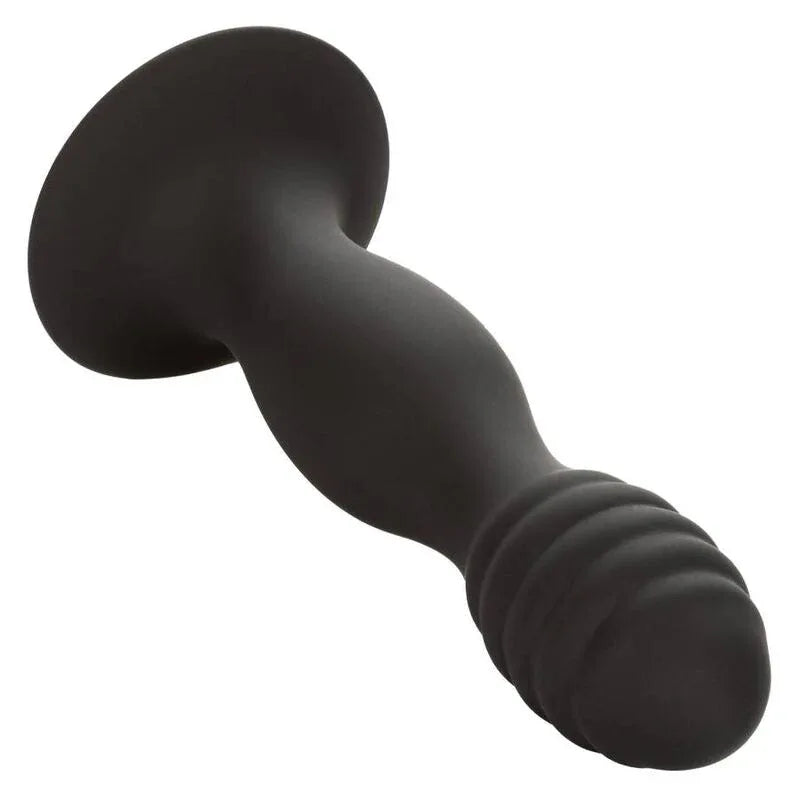 CALEXOTICS - GERIPPTER ANAL-STUD - Vanelion Paradise