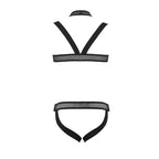 PASSION - 043 SET JACOB SCHWARZ S/M - Vanelion Paradise