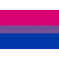 PRIDE - BISEXUELLES FLAGGENARMBAND 90 X 150 - Vanelion Paradise
