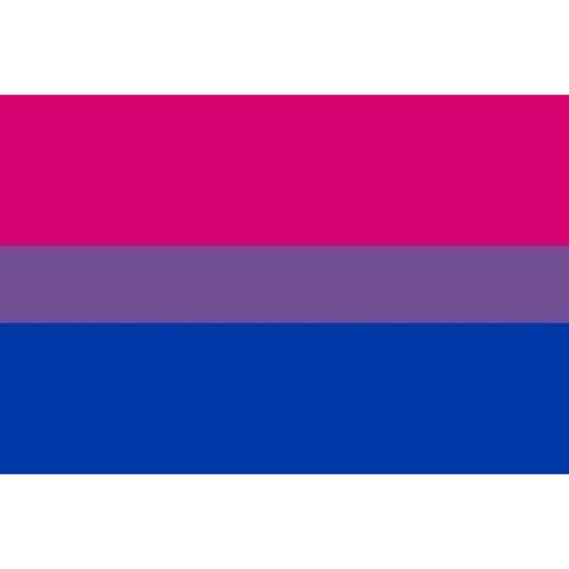 PRIDE - BISEXUELLES FLAGGENARMBAND 90 X 150 - Vanelion Paradise