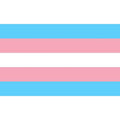 PRIDE - TRANSSEXUELLE FLAGGE 90 X 150 - Vanelion Paradise