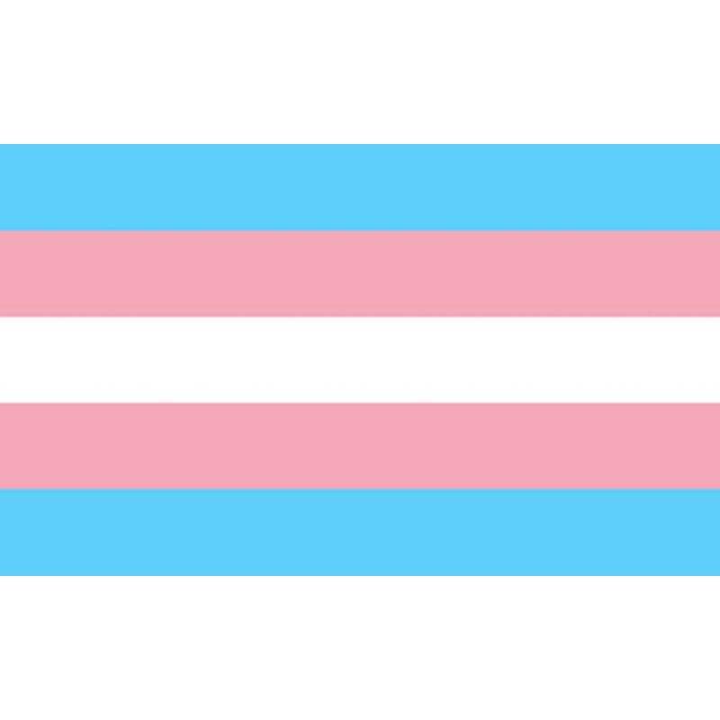 PRIDE - TRANSSEXUELLE FLAGGE 90 X 150 - Vanelion Paradise