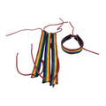 PRIDE - LGBT-FLAGGE LEDERARMBAND - Vanelion Paradise