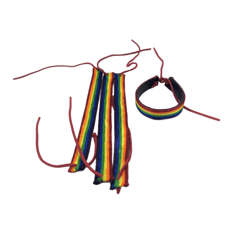 PRIDE - LGBT-FLAGGE LEDERARMBAND - Vanelion Paradise