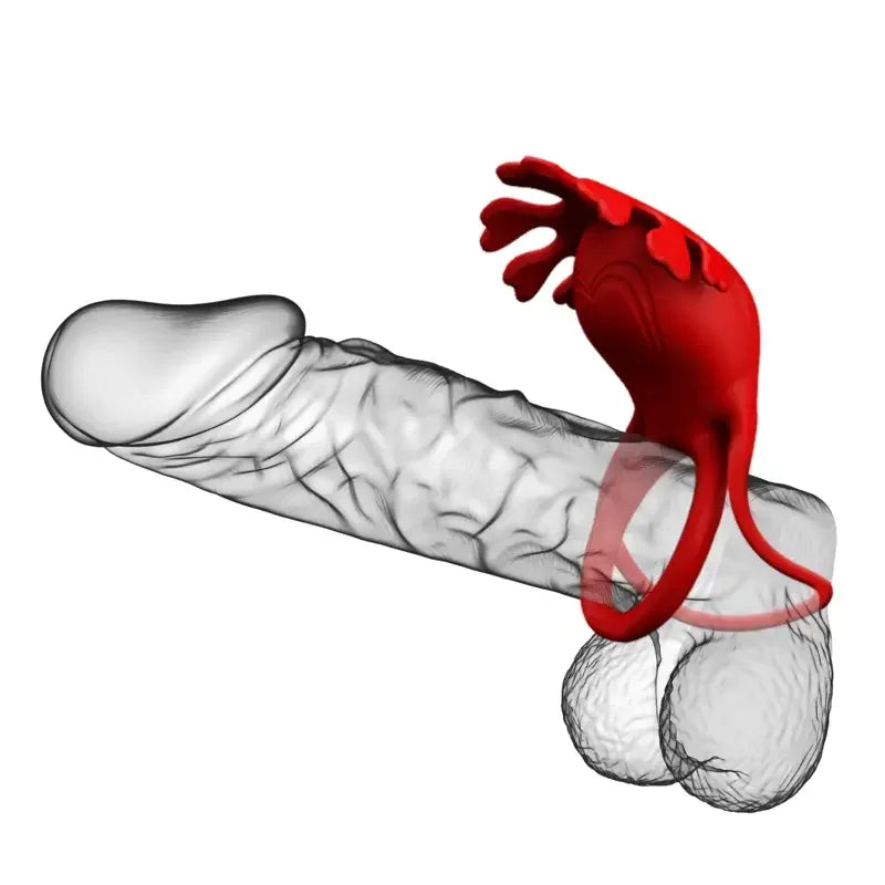 PRETTY LOVE - RUBEN VIBRATORRING 7 VIBRATIONEN SILIKON ROT - Vanelion Paradise