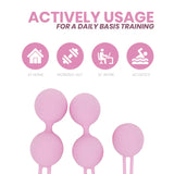 INTIMICHIC - PELVIS HEALTH II BECKENBODEN-REHABILITATION - Vanelion Paradise