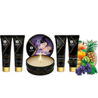 SHUNGA - GEHEIME EXOTISCHE GEISHA-FRÜCHTE - Vanelion Paradise