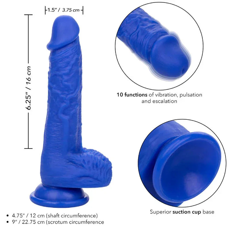 CALEXOTICS - ADMIRAL SAILOR REALISTISCHER DILDO-VIBRATOR BLAU - Vanelion Paradise