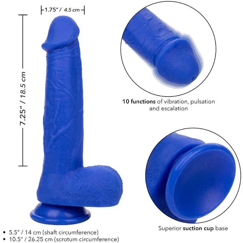 CALEXOTICS - ADMIRAL KAPITN REALISTISCHER DILDO-VIBRATOR BLAU - Vanelion Paradise