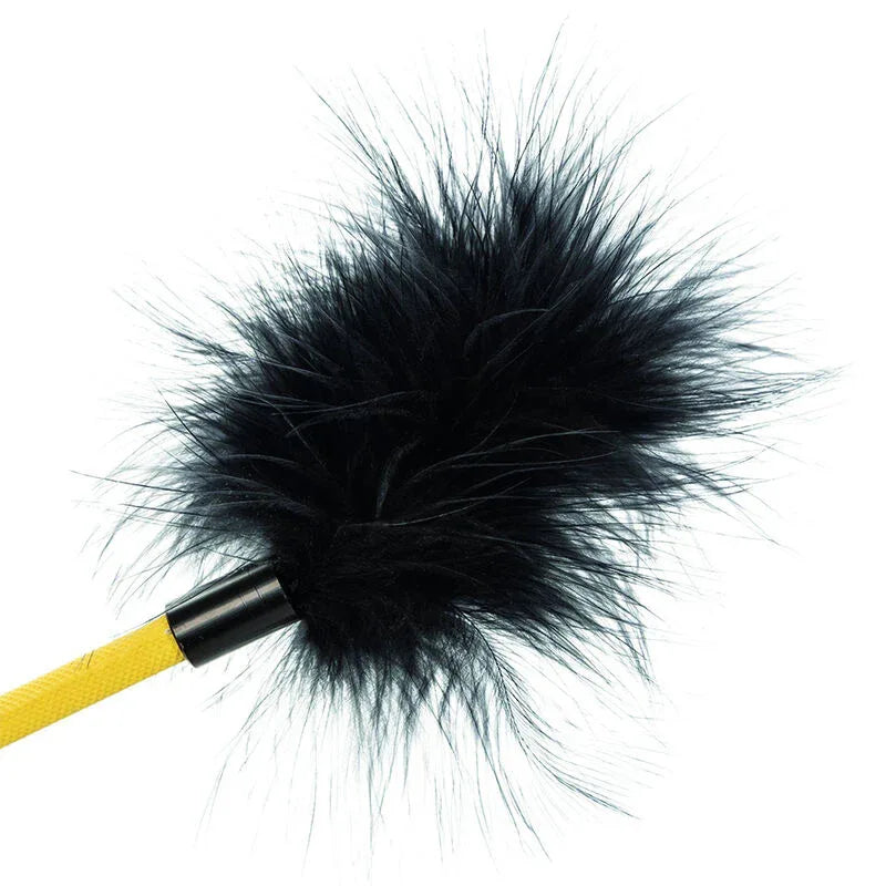 CALEXOTICS - BOUNDLESS FEDERERNTE - Vanelion Paradise