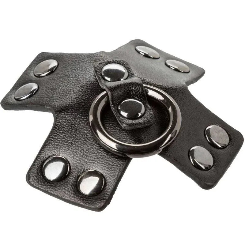 CALEXOTICS - EUPHORIA O-RING SCHWARZ - Vanelion Paradise