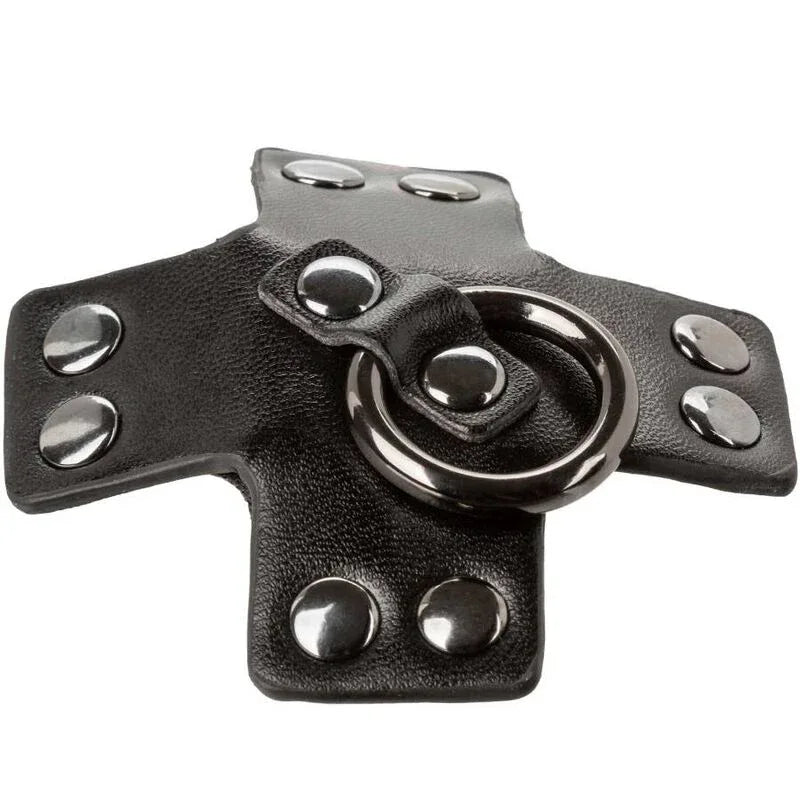 CALEXOTICS - EUPHORIA O-RING SCHWARZ - Vanelion Paradise