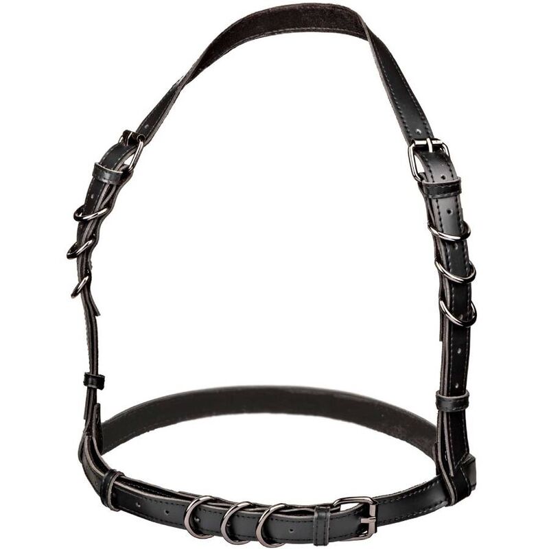 CALEXOTICS - EUPHORIA PLUS SIZE HALTER BUCKLE HARNESS SCHWARZ