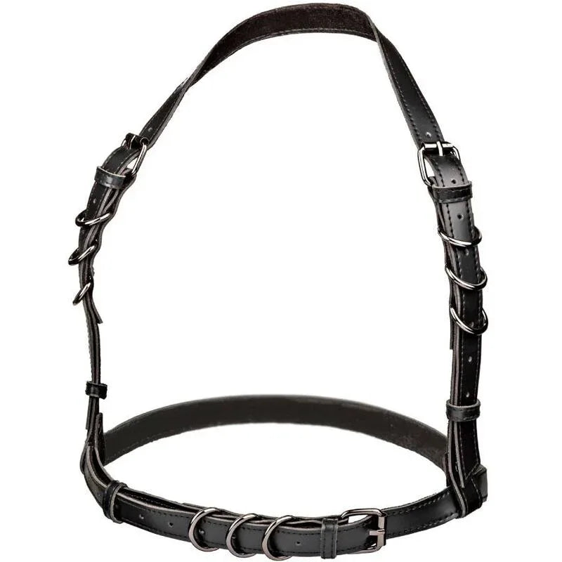 CALEXOTICS - EUPHORIA PLUS SIZE HALTER BUCKLE HARNESS SCHWARZ - Vanelion Paradise