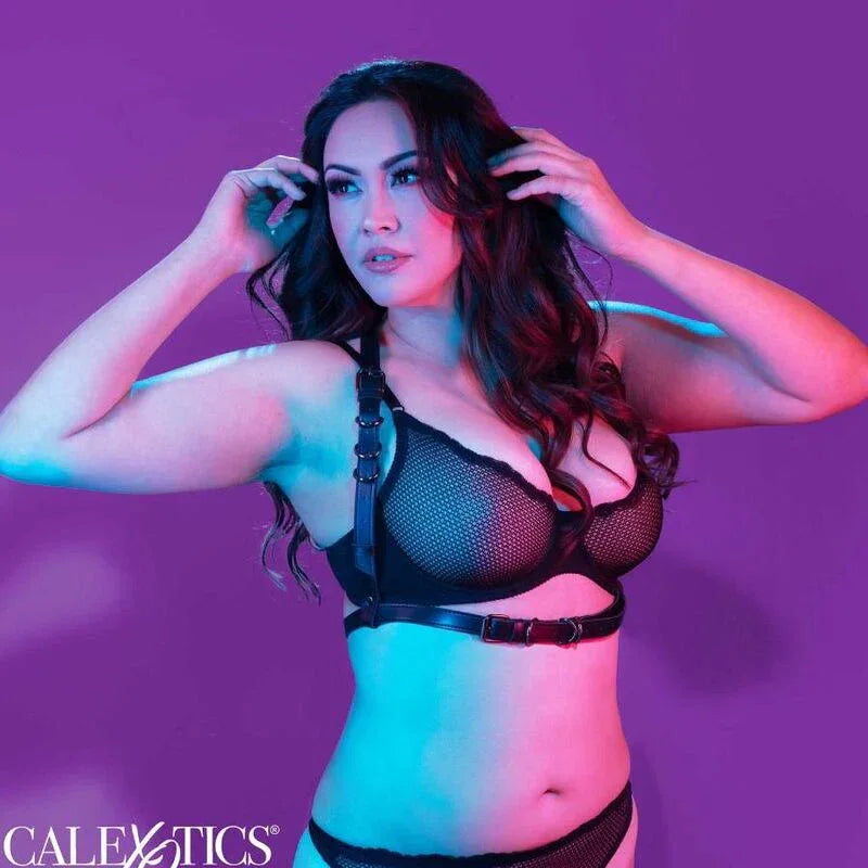 CALEXOTICS - EUPHORIA PLUS SIZE HALTER BUCKLE HARNESS SCHWARZ - Vanelion Paradise