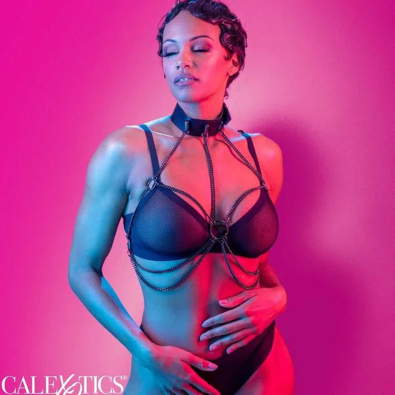 CALEXOTICS - EUPHORIA MEHRKETTENHALSBANDGESCHIRR - Vanelion Paradise